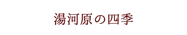 湯河原の四季